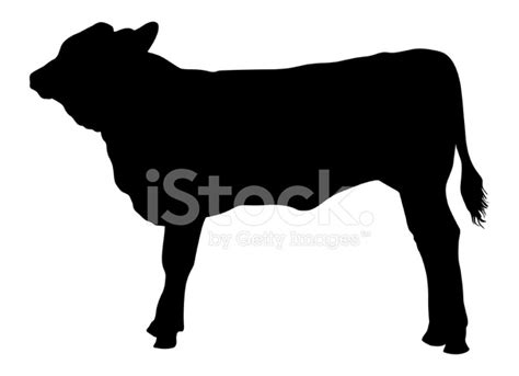 Cow Calf Silhouette at GetDrawings | Free download