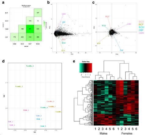 Identification And Biological Replication Of Sexually Dimorphic Lncrnas