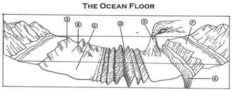 Ocean Floor Diagram With Labels Home Alqu