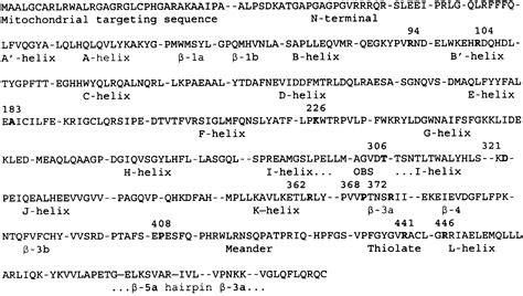 Mutational Analysis Of Cyp A Assessment Of Hydroxylation Of