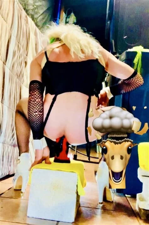 Free Dildoing Shemale Porn Videos Xhamster