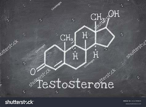 Chemical Structure Testosterone Primary Sex Hormone Stock Photo Shutterstock