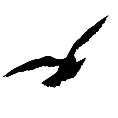 Premium Vector | Concept of love or peace silhouettes doves