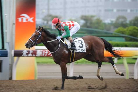 【ユングフラウ賞】陣営の思惑｜競馬ニュース｜競馬予想のウマニティ