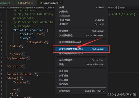 Vscode 设置用户代码片段（怎么用命令式快速生成一段代码）blackbox Vscode 一次怎么生成一段 Csdn博客