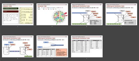Biologie Unterricht Digitale Folien Genetik Aufkl Rung Des