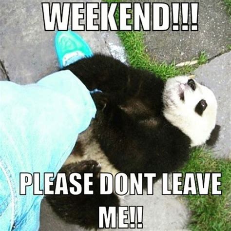 Weekend Humor: 50 Hilarious Memes and Images