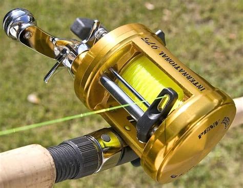 The Best Catfish Spinning Reels To Hook A Monster In 2021 Tactical Huntr