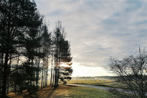 Hd Wallpaper Sweden Bollnäs Fällene Backlight Trees Meadow Woods