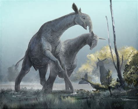 Paraceratherium Mammals Ancient Animals Prehistoric Creatures