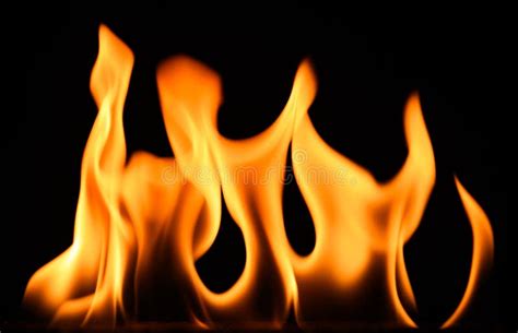 Fire On A Black Background Burning And Hot Flames Close View Stock Image Image Of Dark