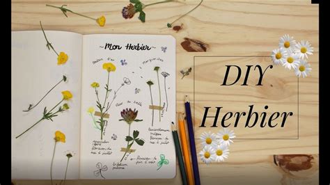 Fabrication D Un Herbier Youtube