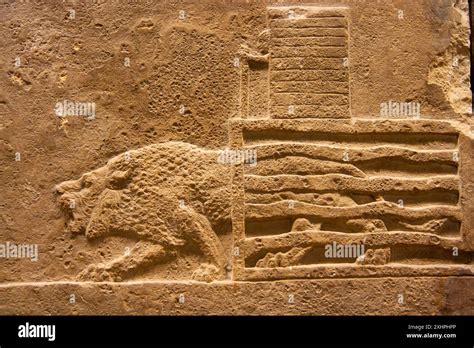 Lion Hunt Of Ashurbanipal British Museum London England Stock Photo