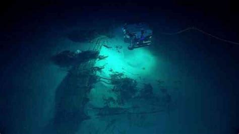 17 Interesting Facts About The Mariana Trench