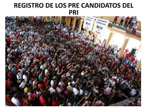 Registro De Los Pre Candidatos Del Pri Ppt Descarga Gratuita