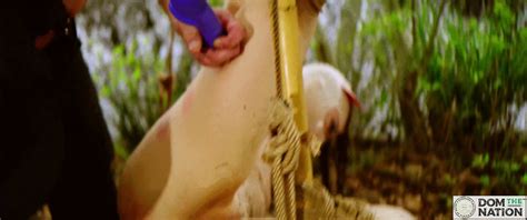 Tied Up Given A Rough Anal Plug And Whipped