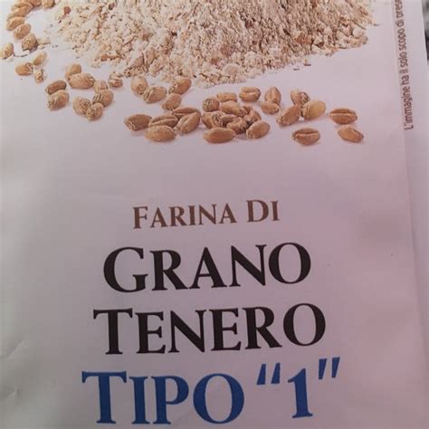 Il Viaggiator Goloso Farina Grano Tenero Tipo Review Abillion