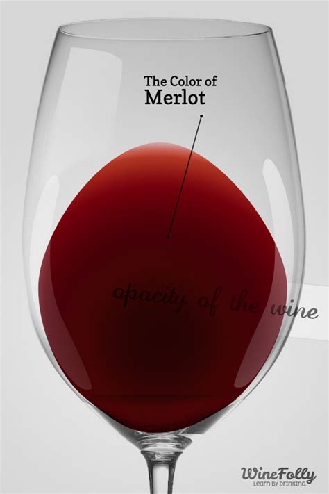 Guide to Merlot Wine Taste, Regions and Food Pairing