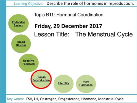 Aqa Gcse B11 Hormonal Coordination L6 The Menstrual Cycle Teaching