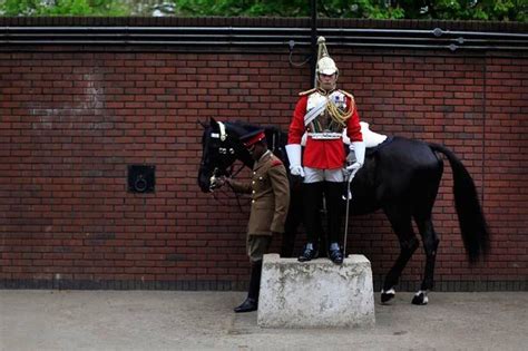 Member Of The Household Cavalry Getting Ready To Mount His Horse