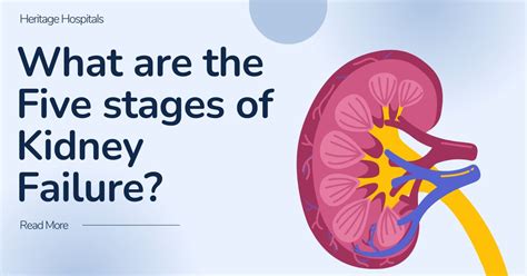 Kidney Failure End Stage Renal Disease Symptoms Causes 52 Off