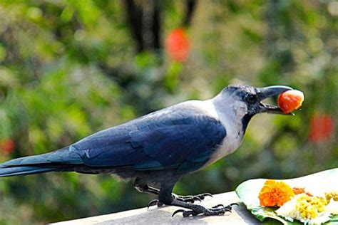 Nepal Traveller Nepals Most Visited Website A Website That Is