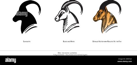 Oryx Face Only Vector Illustration Animal Drawing Oryx Detailed