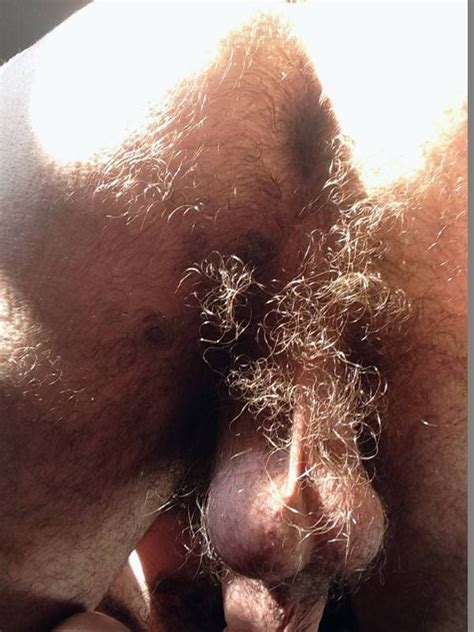 Gay Hairy Men Tumblr Bobs And Vagene