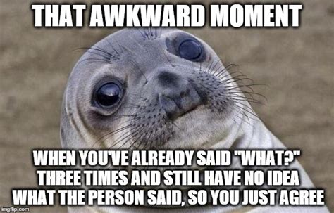 Awkward Moment Sealion Meme Imgflip