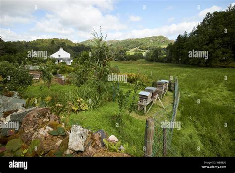 Cottage Smallholding With Kitchen Garden Skelwith Bridge Lake District