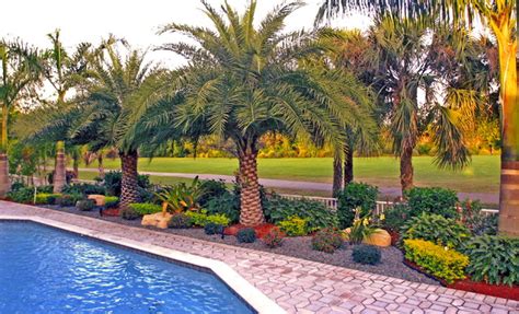 Backyard Landscape South Florida Tropical Landscape Miami By