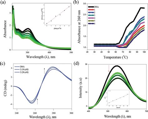 Dna Binding Of Complexes With Ct Dna Absorption Spectra Of Complex