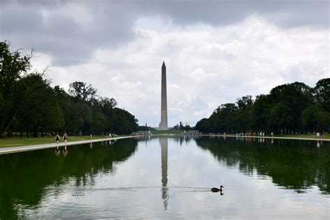 Understanding the DC Intern to Staffer Culture - America's Future