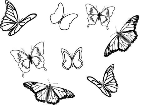 Butterflies Flying Drawing At Getdrawings Free Download