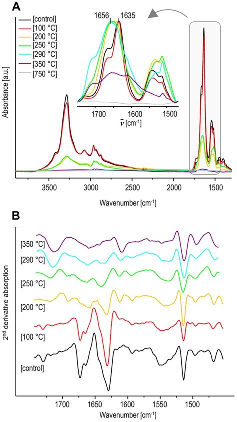 Inset In Panel A Shows Normalized Spectra In The Amide I II Spectral