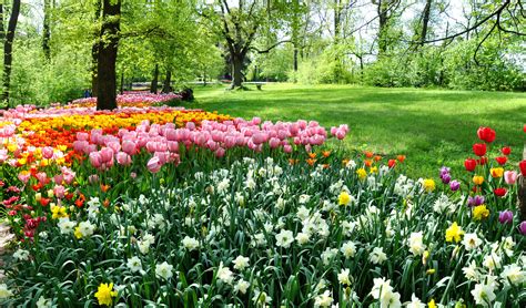 Parchi E Giardini In Fiore Dove Si Trovano Quelli Più Belli Lifegate