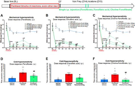 Figure 2 From Targeting Peroxisome Proliferator Activated Receptor α