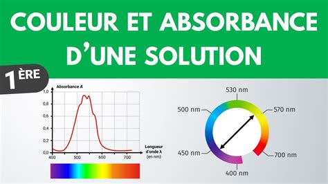 COULEUR et ABSORBANCE d une solution 1ère spé Physique Chimie YouTube