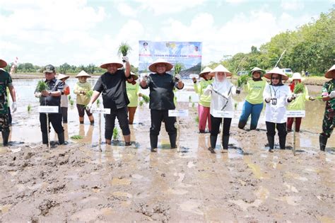 Kementerian Pertanian Ri Bersama Jajaran Pemprov Kalteng Pemkab Pulpis