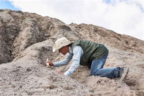 790+ Archaeologist Desert Stock Photos, Pictures & Royalty-Free Images - iStock