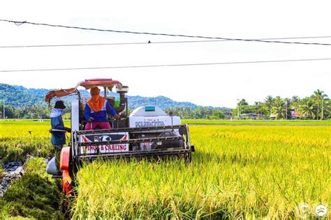 Los Cultivos Transg Nicos Logran Nuevo R Cord De Hectareaje Global En