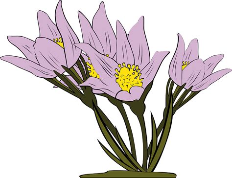 anemones - Clip Art Library