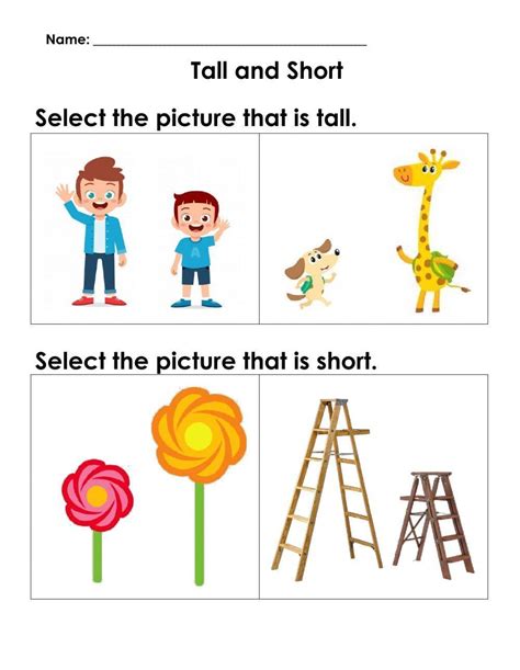 Maths Concepts Tall And Short Worksheet Live Worksheets Worksheets