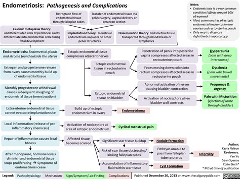 Endometriosis Pathogenesis And Complications Calgary Guide