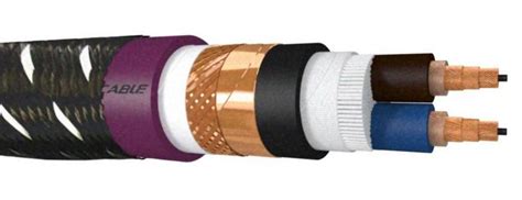 GRADE S FURUTECH DSS 4 1 Speaker Cable OCC DUCC Copper Alpha