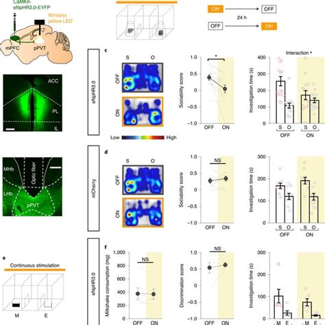 Optogenetic Activation Of Mpfc→ppvt Projection Terminals Biases