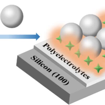 The Architecture Of The Silicon Assisted Surface Enhanced Fluorescence