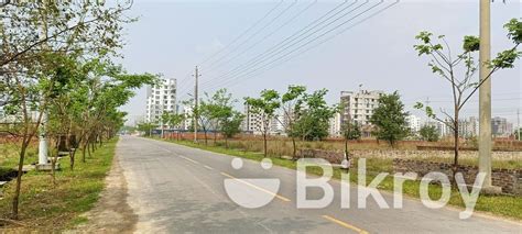 P Block Urgent Sale 4 Katha South Facing Plot Basundhara Bikroy