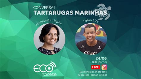 Ag Ncia Eco Nordeste Promove Conversa Sobre Tartarugas Marinhas Youtube