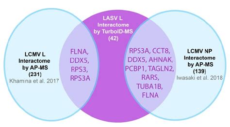 Fig S4 Venn Diagram Comparing Cellular Interactors Of LASV Polymerase